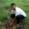 Tree Plantation at GA Bungalow